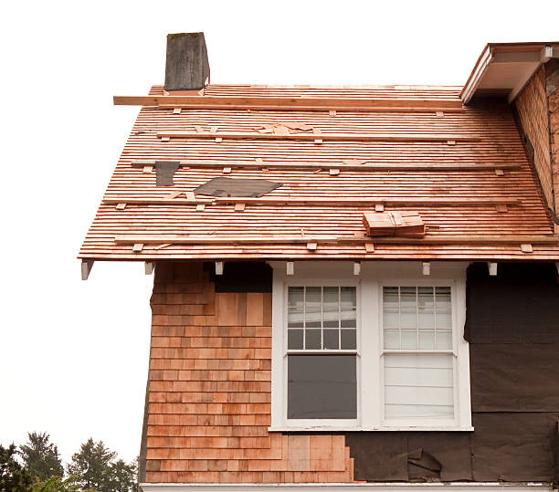 Affordable Siding Repair and Maintenance Services in Madison, NC